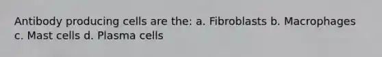 Antibody producing cells are the: a. Fibroblasts b. Macrophages c. Mast cells d. Plasma cells