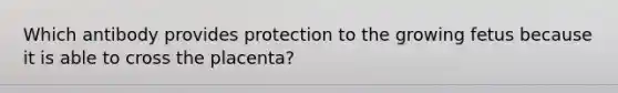 Which antibody provides protection to the growing fetus because it is able to cross the placenta?