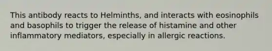 This antibody reacts to Helminths, and interacts with eosinophils and basophils to trigger the release of histamine and other inflammatory mediators, especially in allergic reactions.