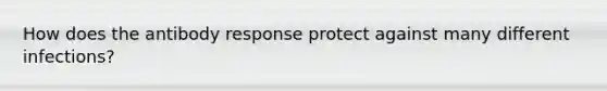 How does the antibody response protect against many different infections?