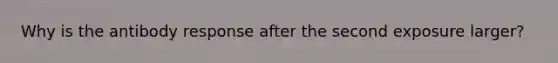 Why is the antibody response after the second exposure larger?