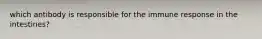 which antibody is responsible for the immune response in the intestines?