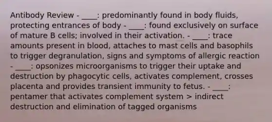 Antibody Review - ____: predominantly found in body fluids, protecting entrances of body - ____: found exclusively on surface of mature B cells; involved in their activation. - ____: trace amounts present in blood, attaches to mast cells and basophils to trigger degranulation, signs and symptoms of allergic reaction - ____: opsonizes microorganisms to trigger their uptake and destruction by phagocytic cells, activates complement, crosses placenta and provides transient immunity to fetus. - ____: pentamer that activates complement system > indirect destruction and elimination of tagged organisms