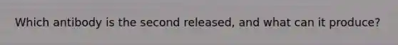 Which antibody is the second released, and what can it produce?