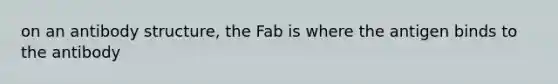 on an antibody structure, the Fab is where the antigen binds to the antibody