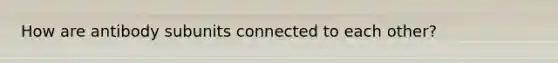 How are antibody subunits connected to each other?