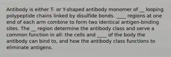 Antibody is either T- or Y-shaped antibody monomer of __ looping polypeptide chains linked by disulfide bonds. ____ regions at one end of each arm combine to form two identical antigen-binding sites. The __ region determine the antibody class and serve a common function in all: the cells and ____ of the body the antibody can bind to, and how the antibody class functions to eliminate antigens.