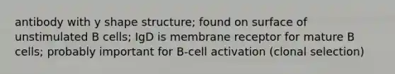 antibody with y shape structure; found on surface of unstimulated B cells; IgD is membrane receptor for mature B cells; probably important for B-cell activation (clonal selection)