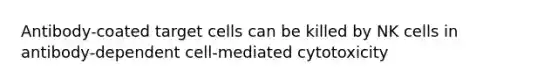 Antibody-coated target cells can be killed by NK cells in antibody-dependent cell-mediated cytotoxicity