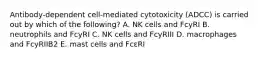 Antibody‐dependent cell‐mediated cytotoxicity (ADCC) is carried out by which of the following? A. NK cells and FcyRI B. neutrophils and FcyRI C. NK cells and FcyRIII D. macrophages and FcyRIIB2 E. mast cells and FcεRI