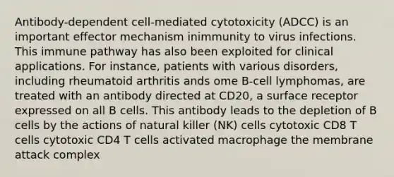 Antibody-dependent cell-mediated cytotoxicity (ADCC) is an important effector mechanism inimmunity to virus infections. This immune pathway has also been exploited for clinical applications. For instance, patients with various disorders, including rheumatoid arthritis ands ome B-cell lymphomas, are treated with an antibody directed at CD20, a surface receptor expressed on all B cells. This antibody leads to the depletion of B cells by the actions of natural killer (NK) cells cytotoxic CD8 T cells cytotoxic CD4 T cells activated macrophage the membrane attack complex