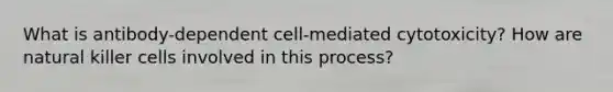 What is antibody-dependent cell-mediated cytotoxicity? How are natural killer cells involved in this process?