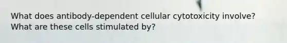 What does antibody-dependent cellular cytotoxicity involve? What are these cells stimulated by?