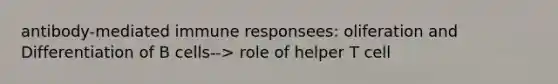 antibody-mediated immune responsees: oliferation and Differentiation of B cells--> role of helper T cell
