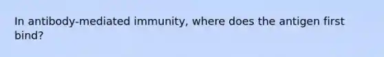 In antibody-mediated immunity, where does the antigen first bind?