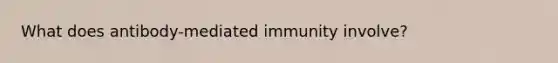 What does antibody-mediated immunity involve?