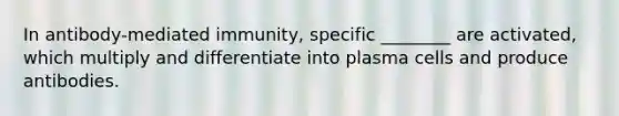 In antibody-mediated immunity, specific ________ are activated, which multiply and differentiate into plasma cells and produce antibodies.