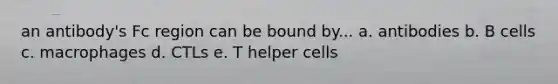 an antibody's Fc region can be bound by... a. antibodies b. B cells c. macrophages d. CTLs e. T helper cells