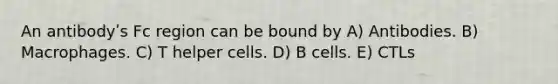 An antibodyʹs Fc region can be bound by A) Antibodies. B) Macrophages. C) T helper cells. D) B cells. E) CTLs