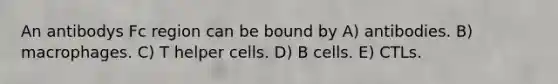 An antibodys Fc region can be bound by A) antibodies. B) macrophages. C) T helper cells. D) B cells. E) CTLs.