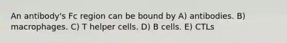 An antibody's Fc region can be bound by A) antibodies. B) macrophages. C) T helper cells. D) B cells. E) CTLs