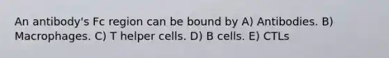 An antibody's Fc region can be bound by A) Antibodies. B) Macrophages. C) T helper cells. D) B cells. E) CTLs