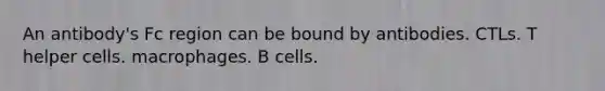 An antibody's Fc region can be bound by antibodies. CTLs. T helper cells. macrophages. B cells.