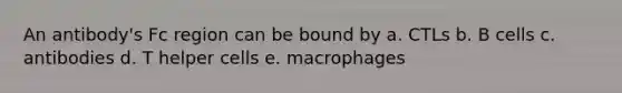 An antibody's Fc region can be bound by a. CTLs b. B cells c. antibodies d. T helper cells e. macrophages