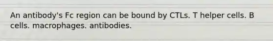 An antibody's Fc region can be bound by CTLs. T helper cells. B cells. macrophages. antibodies.