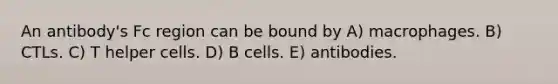 An antibody's Fc region can be bound by A) macrophages. B) CTLs. C) T helper cells. D) B cells. E) antibodies.