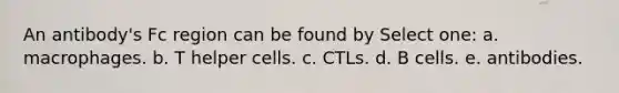 An antibody's Fc region can be found by Select one: a. macrophages. b. T helper cells. c. CTLs. d. B cells. e. antibodies.