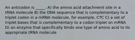 An anticodon is _____. A) the amino acid attachment site in a tRNA molecule B) the DNA sequence that is complementary to a triplet codon in a mRNA molecule, for example, CTC C) a set of triplet bases that is complementary to a codon triplet on mRNA D) an enzyme that specifically binds one type of amino acid to its appropriate tRNA molecule