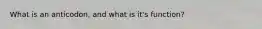What is an anticodon, and what is it's function?
