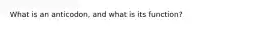 What is an anticodon, and what is its function?