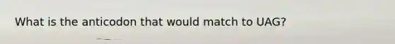 What is the anticodon that would match to UAG?