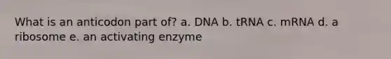 What is an anticodon part of? a. DNA b. tRNA c. mRNA d. a ribosome e. an activating enzyme