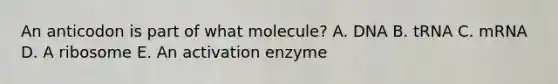 An anticodon is part of what molecule? A. DNA B. tRNA C. mRNA D. A ribosome E. An activation enzyme