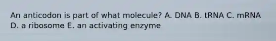 An anticodon is part of what molecule? A. DNA B. tRNA C. mRNA D. a ribosome E. an activating enzyme