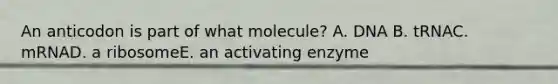 An anticodon is part of what molecule? A. DNA B. tRNAC. mRNAD. a ribosomeE. an activating enzyme