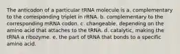 The anticodon of a particular tRNA molecule is a. complementary to the corresponding triplet in rRNA. b. complementary to the corresponding mRNA codon. c. changeable, depending on the amino acid that attaches to the tRNA. d. catalytic, making the tRNA a ribozyme. e. the part of tRNA that bonds to a specific amino acid.