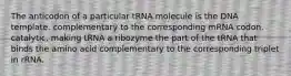 The anticodon of a particular tRNA molecule is the DNA template. complementary to the corresponding mRNA codon. catalytic, making tRNA a ribozyme the part of the tRNA that binds the amino acid complementary to the corresponding triplet in rRNA.