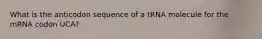 What is the anticodon sequence of a tRNA molecule for the mRNA codon UCA?