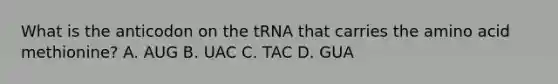 What is the anticodon on the tRNA that carries the amino acid methionine? A. AUG B. UAC C. TAC D. GUA