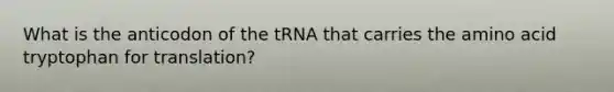 What is the anticodon of the tRNA that carries the amino acid tryptophan for translation?