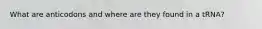 What are anticodons and where are they found in a tRNA?
