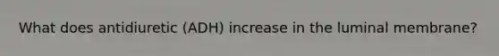 What does antidiuretic (ADH) increase in the luminal membrane?