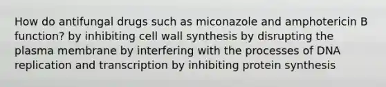 How do antifungal drugs such as miconazole and amphotericin B function? by inhibiting cell wall synthesis by disrupting the plasma membrane by interfering with the processes of DNA replication and transcription by inhibiting protein synthesis