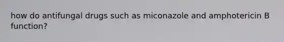 how do antifungal drugs such as miconazole and amphotericin B function?