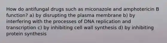 How do antifungal drugs such as miconazole and amphotericin B function? a) by disrupting the plasma membrane b) by interfering with the processes of DNA replication and transcription c) by inhibiting cell wall synthesis d) by inhibiting protein synthesis