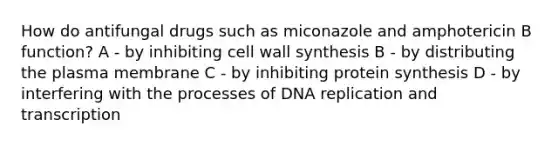 How do antifungal drugs such as miconazole and amphotericin B function? A - by inhibiting cell wall synthesis B - by distributing the plasma membrane C - by inhibiting protein synthesis D - by interfering with the processes of DNA replication and transcription